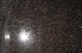 皇室啡(fei)米粒蘤